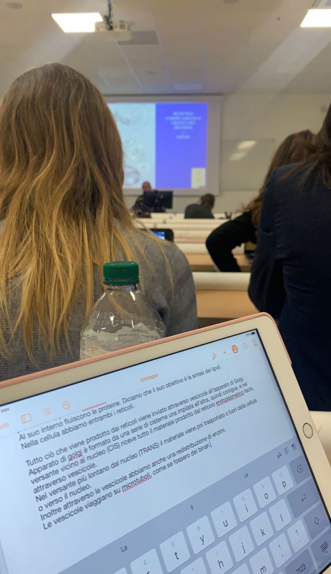 Prima lezione Logopedia Greta.jpeg