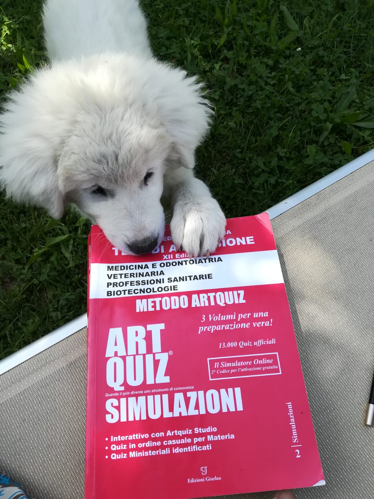 Superare il test di Medicina a 40 anni. Storia di Rita