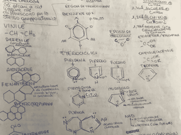 chimica test ammissione medicina mishal